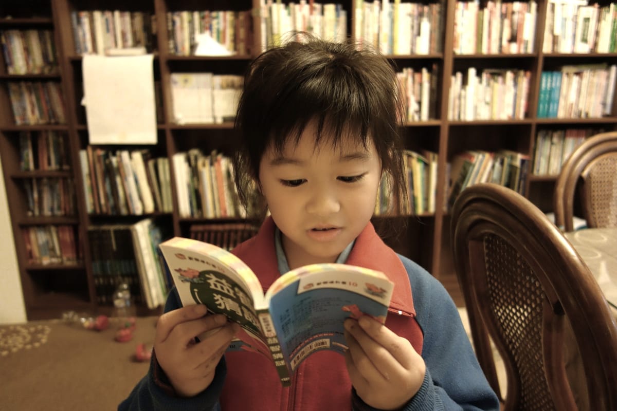 Book bans and culture wars came for libraries. They’re still standing strong.