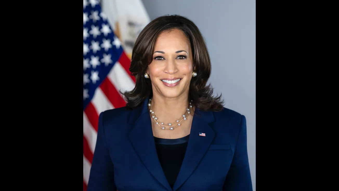 Democratic delegates swiftly give Harris enough support to clinch presidential nomination