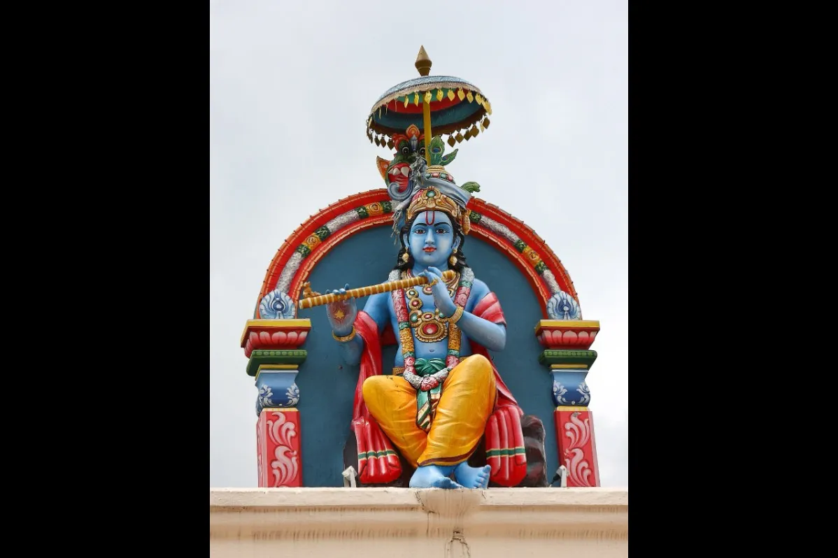 Best way to fight MAGA? Give them what they claim they want