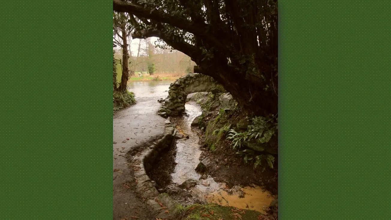 A neighbor in need is a friend indeed, no matter their pedigree